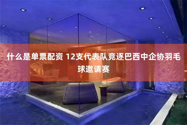 什么是单票配资 12支代表队竞逐巴西中企协羽毛球邀请赛