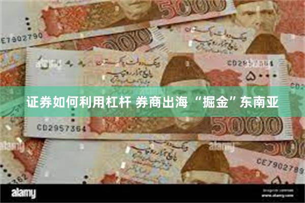 证券如何利用杠杆 券商出海 “掘金”东南亚