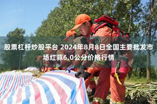 股票杠杆炒股平台 2024年8月8日全国主要批发市场红蒜6.0公分价格行情