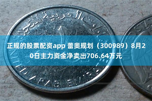 正规的股票配资app 蕾奥规划（300989）8月20日主力资金净卖出706.64万元