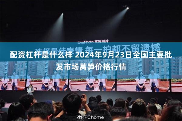 配资杠杆是什么样 2024年9月23日全国主要批发市场莴笋价格行情