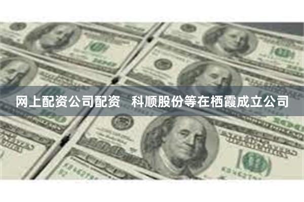 网上配资公司配资   科顺股份等在栖霞成立公司