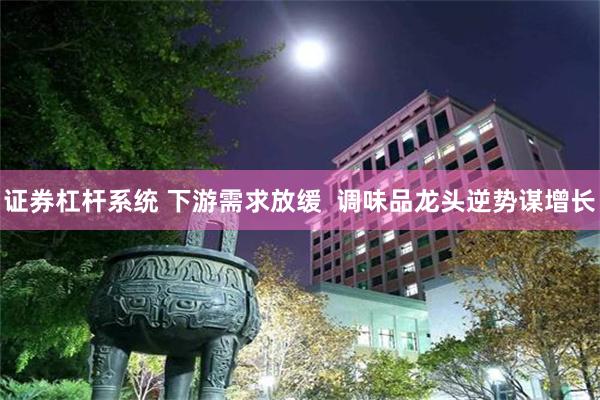 证券杠杆系统 下游需求放缓  调味品龙头逆势谋增长