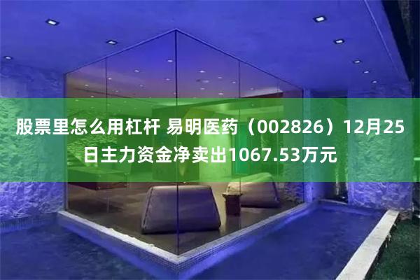 股票里怎么用杠杆 易明医药（002826）12月25日主力资金净卖出1067.53万元