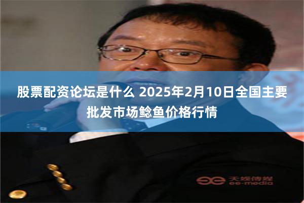 股票配资论坛是什么 2025年2月10日全国主要批发市场鲶鱼价格行情