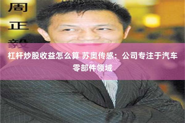 杠杆炒股收益怎么算 苏奥传感：公司专注于汽车零部件领域